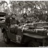 mg 439